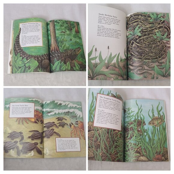 Wheres That Reptile Scholastic Hide & Seek Science PB Barbara Brenner 1993 - Picture 7 of 8